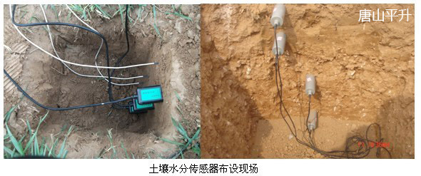 土壤水分传感器布设现场——平升电子